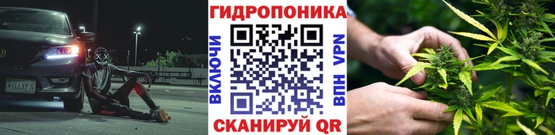 Конопля VHQ  Купить закладки  Ермолино 
